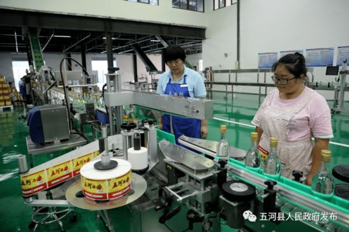 安徽淮酒新廠正式啟用，開啟酒類經營新篇章